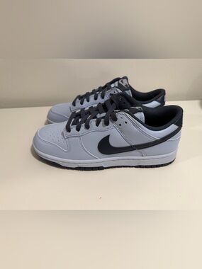 Nike dunk low retro